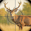 Wild Animal Sniper Hunter Game