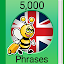 Speak English - 5000 Phrases & Sentences