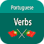 Common Portuguese Verbs