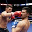 Ultimate Boxing Champion