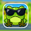 Frog cross the road