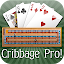 Cribbage Pro Online!