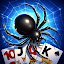Spider Solitaire, Large Cards