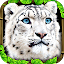 Snow Leopard Simulator