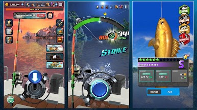 https://cdn-icon.bluestacks.com/scxdOIe-N-N7N7TLdU9V22oYJ9lpIfKmj57dhgMOtwImOOttfo8FakmWpzRWTEJ166SWOUbZpazmD1E3G2gK61Y