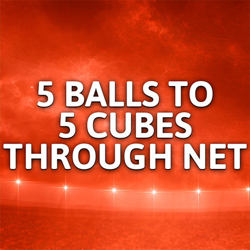 5 balls to 5 cubes through net