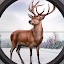 Animal Hunter Shooting Games