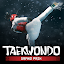 Taekwondo Grand Prix