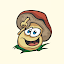 Mushroom picker