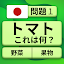 QuizzLand：雑学クイズでトリビアに挑戦しよう