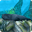 Whale Sim - Sea Eater