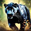 Wild Panther : 3d Animal Hunt