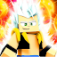 Dragon Block Mod for Minecraft