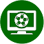 Live Football on TV