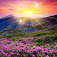 Hidden Object: Summer Serenity