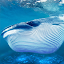 The Blue Whale