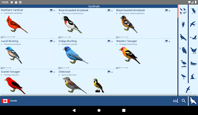 https://cdn-icon.bluestacks.com/uSWP3g0p8SJdxUZP_QR4UdUzo0f4FZCfJXdOxzrTc5AHVkAlnsGqqMAtvI7SKUff_4jdePf50ii0sjhZX9UiSQ