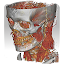 DroidRender - 3D DICOM viewer