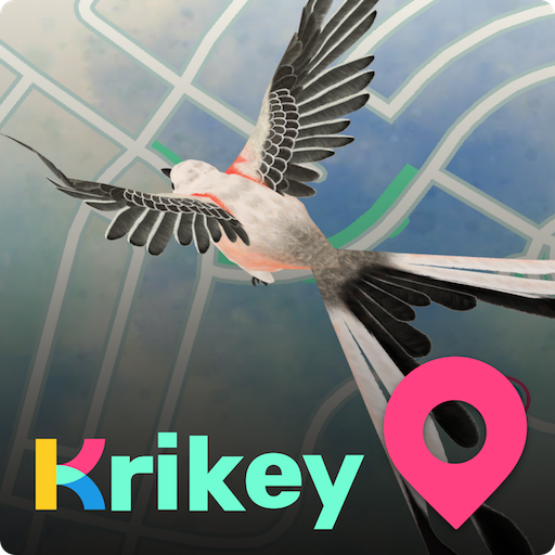 Krikey