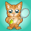 Cat Tennis Champion