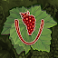Viticulture