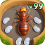 Ant Kingdom: Survival War