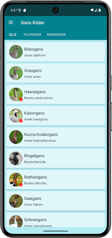 https://cdn-icon.bluestacks.com/w0CBPuk8VceeN9HJvZto9GXm9Ee02YSQ1XNqMXk4eeyE5gsBVj15T9IWQxZ-zGIImeHcmEQDpxc-vBQRRKOcgiE