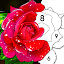 Color by Number: Oil Painting Coloring Book