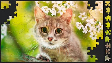 https://cdn-icon.bluestacks.com/wZF6RJWraFEagZtPKbf4mEA4V-c5YzaWLQO8UStVbU3q4_rceyNUzRfPkC7DRLxYzn68cZf7-6Lm2t8C-7yb-w