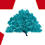 ROBLE