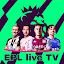 English Premier League LIVE TV