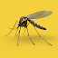 Mosquito Sound
