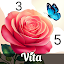 Vita Color: Senior Color Games
