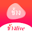 ช้างlive