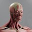 Irusu Human Anatomy 4D VR AR