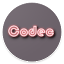 Media Codec Info