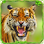 Furious Tiger Simulator 🐅