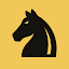 ChessRecall: Chess Openings