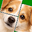 Jigmagic Solitaire Puzzle