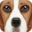 Ultimate Dog Simulator