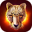 The Cheetah