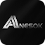ANESOK