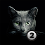 Find a cat 2. Free!